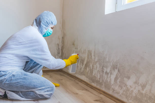 Hvac And Air Duct Mold Remediation inspection of HVAC system in Paradise Valley